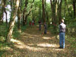 2008_09280051.JPG (1035160 octets)