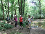 2010_06270058.JPG (389940 octets)