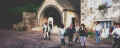 Amis Salmaise.jpg (100708 octets)