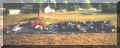 C01 belle etoile.jpg (49680 octets)