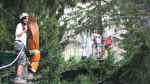 DSCF7309.JPG (930700 octets)