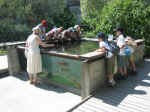 IMG_8256.JPG (157480 octets)